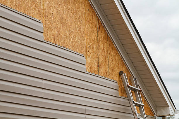 Professional Siding Inspection technician working in Elizabethtown, KY